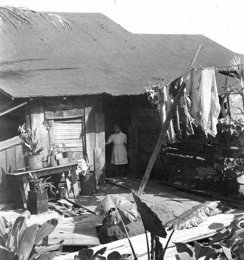 Plantation housing for sugar workersILWU Images of Old Hawaiʻi