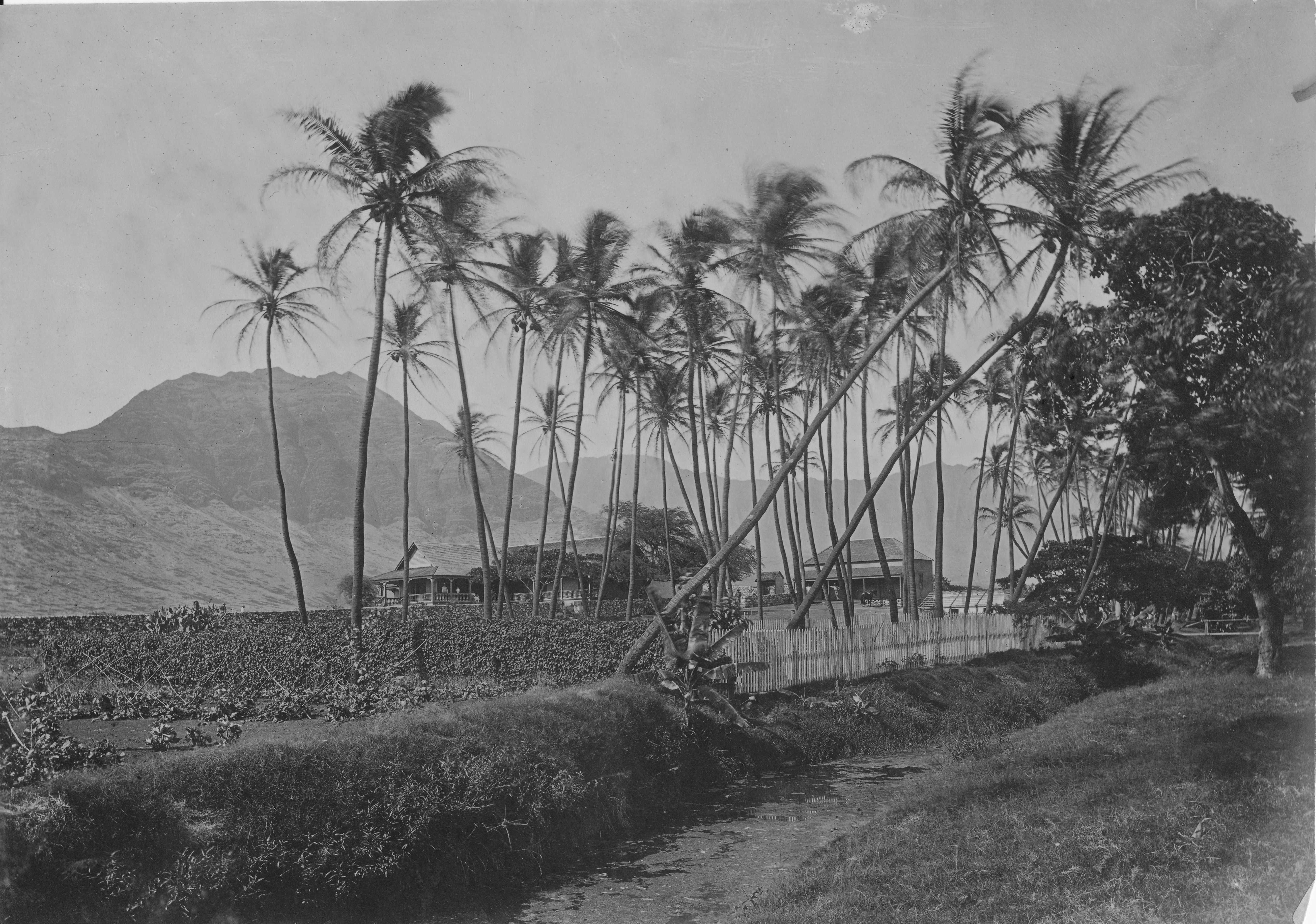 Plantation manager’s home, Waianae, OahuS_000381885 Images of Old