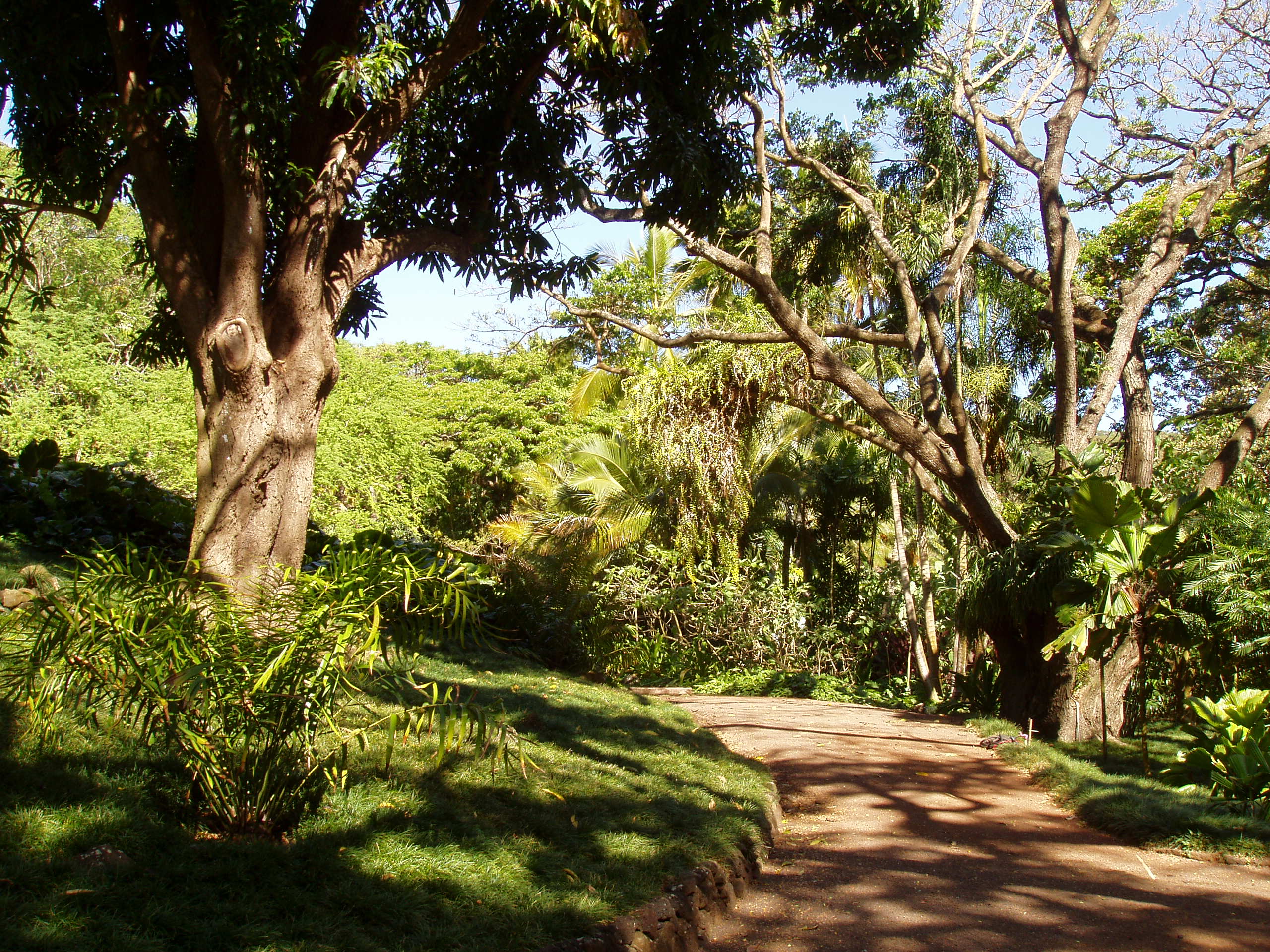 National Tropical Botanical Garden | Images of Old Hawaiʻi
