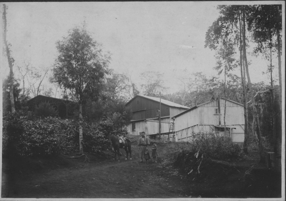 Captain Cook Images of Old Hawaiʻi