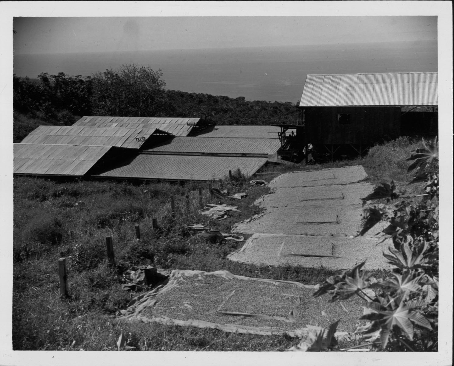 Captain Cook Images of Old Hawaiʻi