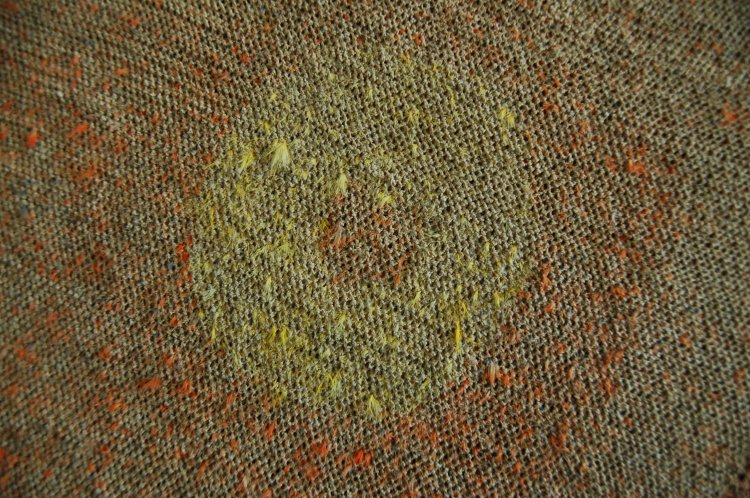 Olonā | Images of Old Hawaiʻi