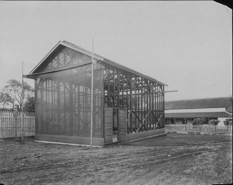 Hawaiian Sugar Planters’ Association (HSPA) Images of Old Hawaiʻi