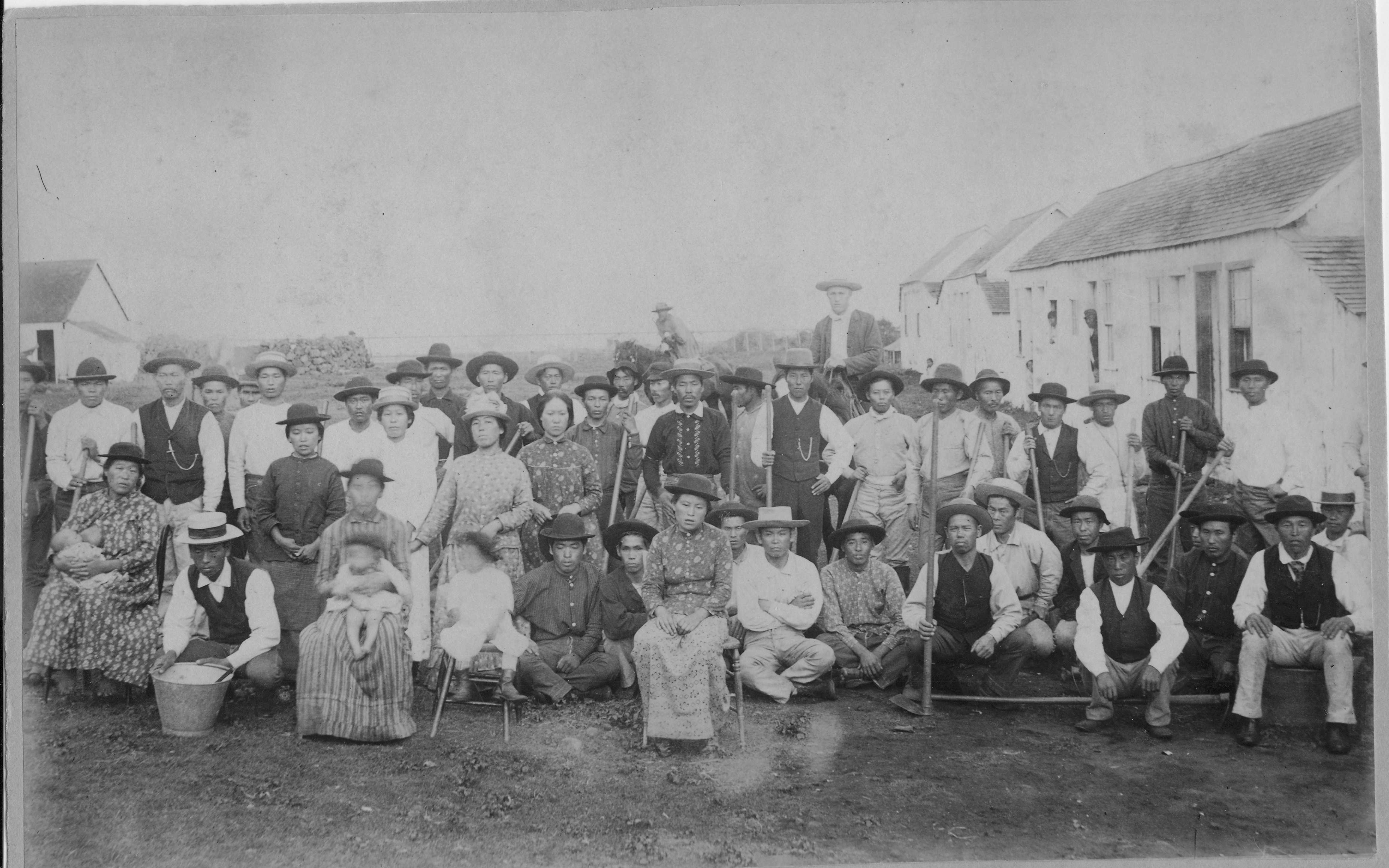 japanese-sugar-plantation-laborers-at-kau-hawaii-island-s00039-1890