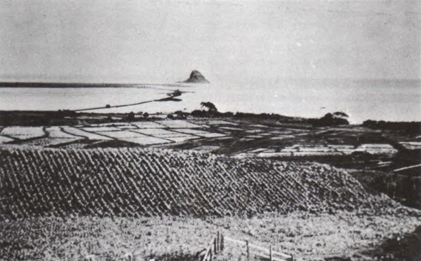 Loko | Images of Old Hawaiʻi