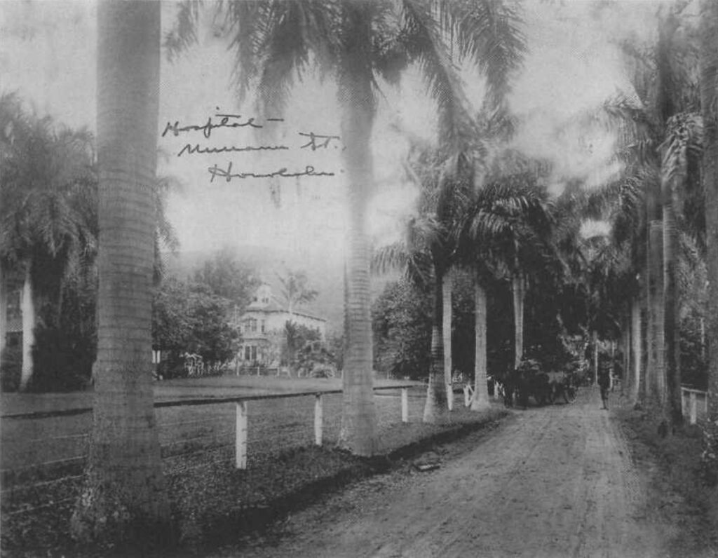 Hero of a Hundred Passages Images of Old Hawaiʻi