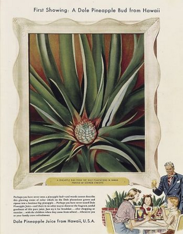 Georgia O’Keeffe | Images of Old Hawaiʻi