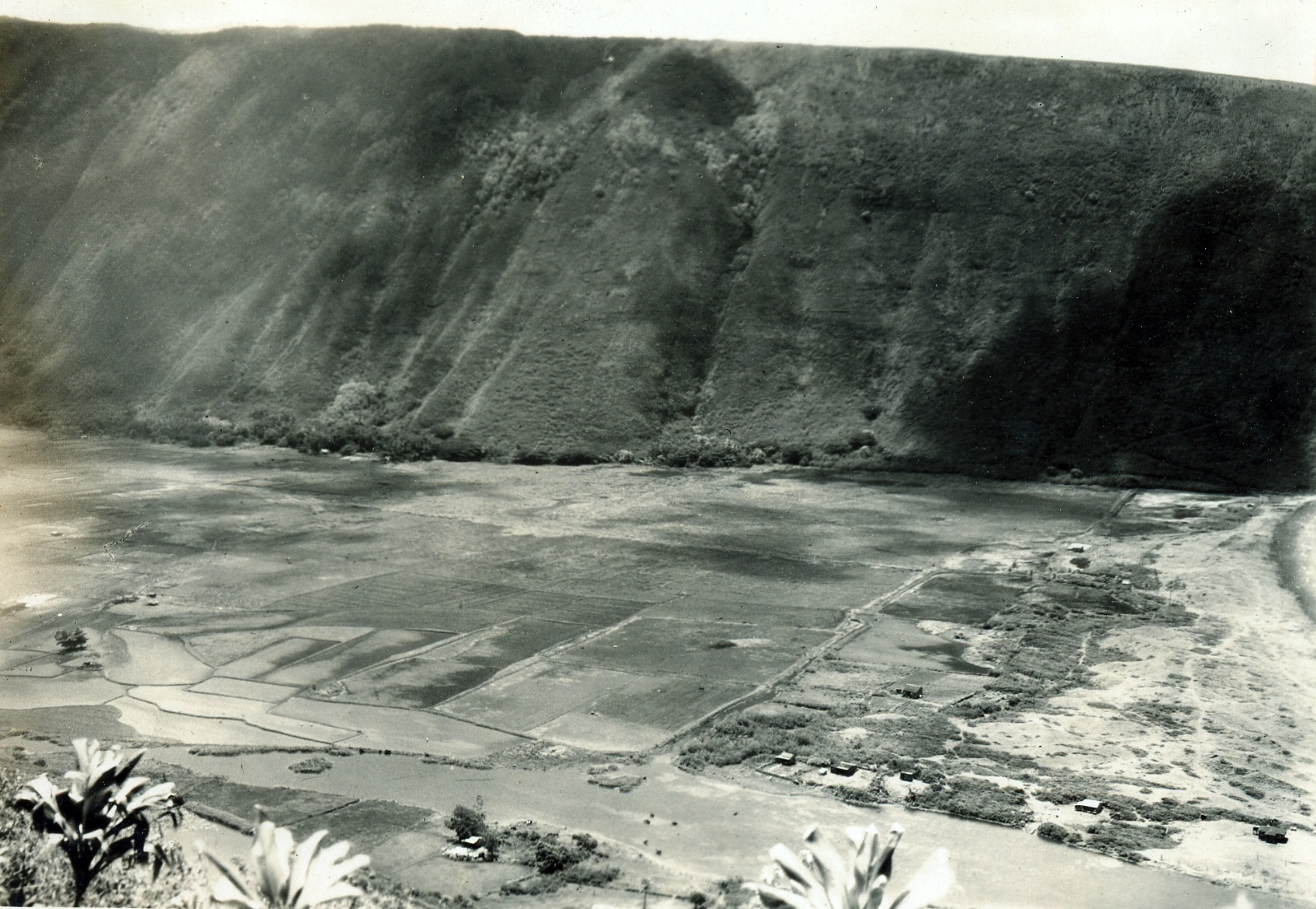 Farming in the Time of Kamehameha Images of Old Hawaiʻi