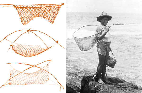 Olonā | Images of Old Hawaiʻi